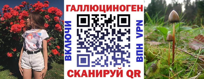 Псилоцибиновые грибы ЛСД  Купить закладки  Орёл 